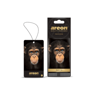 Areon Wild -Professor