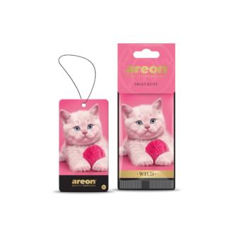 Areon Wild - Sweet Kitty