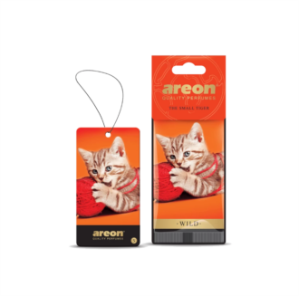 Areon Wild - The Small Tiger